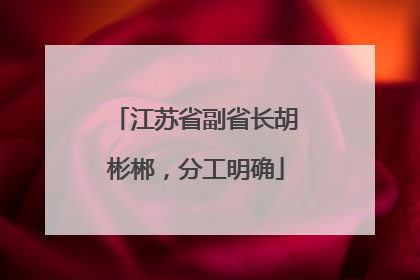 江苏省副省长胡彬郴，分工明确