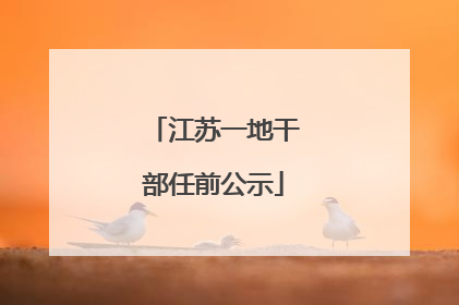 江苏一地干部任前公示
