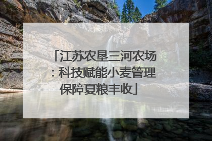 江苏农垦三河农场：科技赋能小麦管理保障夏粮丰收