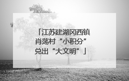 江苏建湖冈西镇肖荡村“小积分”兑出“大文明”