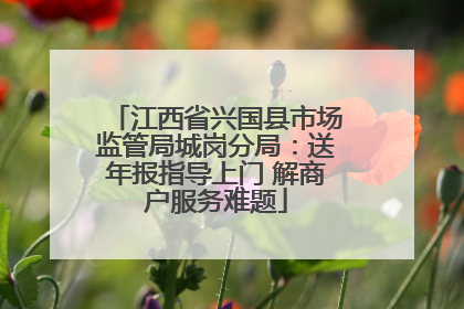 江西省兴国县市场监管局城岗分局：送年报指导上门 解商户服务难题
