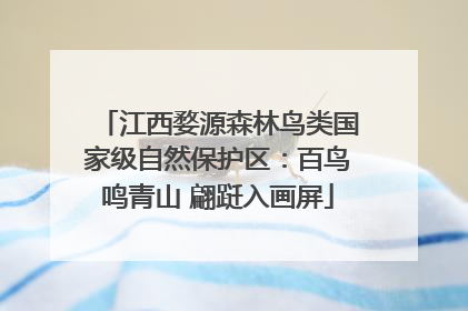 江西婺源森林鸟类国家级自然保护区：百鸟鸣青山 翩跹入画屏
