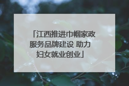 江西推进巾帼家政服务品牌建设 助力妇女就业创业