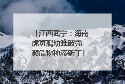 江西武宁：海南虎斑鳽幼雏破壳 濒危物种添新丁