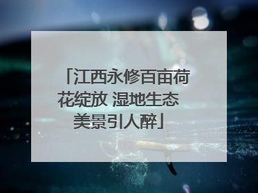 江西永修百亩荷花绽放 湿地生态美景引人醉