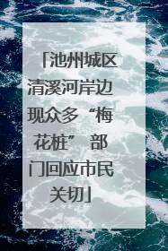 池州城区清溪河岸边现众多“梅花桩” 部门回应市民关切