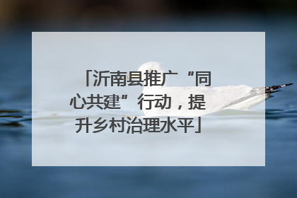 沂南县推广“同心共建”行动，提升乡村治理水平