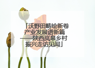 沃野田畴绘新卷 产业发展谱新篇——陕西岚皋乡村振兴走访见闻