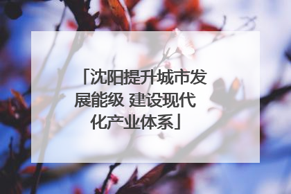 沈阳提升城市发展能级 建设现代化产业体系