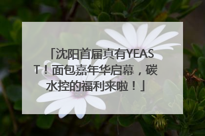 沈阳首届真有YEAST！面包嘉年华启幕，碳水控的福利来啦！