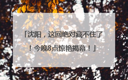 沈阳，这回绝对藏不住了！今晚8点惊艳揭幕！