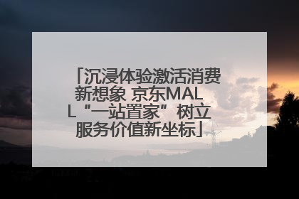 沉浸体验激活消费新想象 京东MALL“一站置家”树立服务价值新坐标