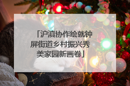 沪滇协作绘就钟屏街道乡村振兴秀美家园新画卷