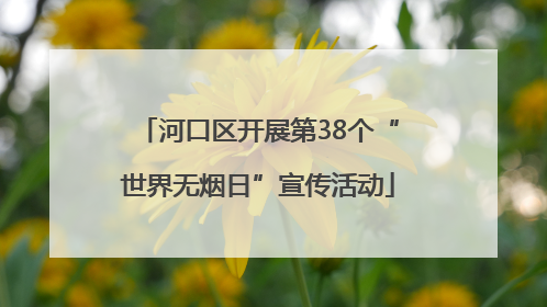 河口区开展第38个“世界无烟日”宣传活动