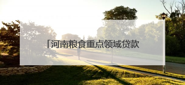 河南粮食重点领域贷款余额超2595亿元
