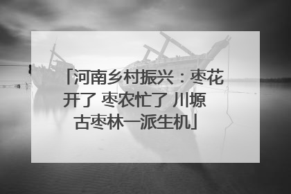 河南乡村振兴：枣花开了 枣农忙了 川塬古枣林一派生机