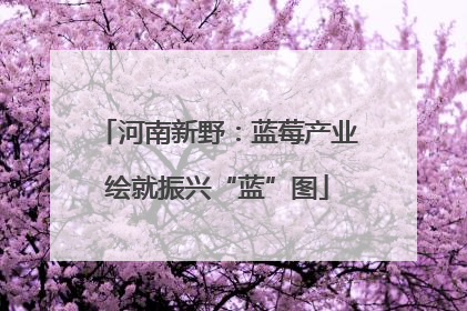河南新野：蓝莓产业绘就振兴“蓝”图
