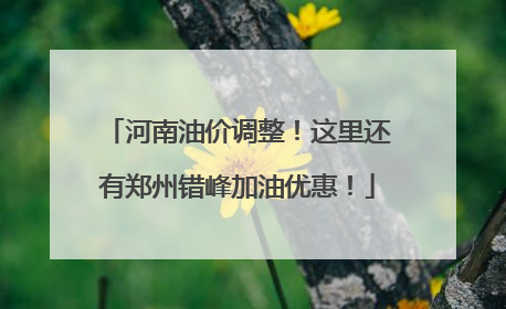 河南油价调整！这里还有郑州错峰加油优惠！