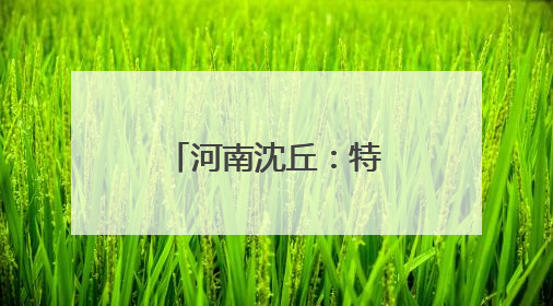 河南沈丘：特色农业绘就乡村振兴新图景