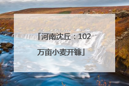 河南沈丘：102 万亩小麦开镰