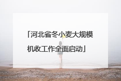 河北省冬小麦大规模机收工作全面启动