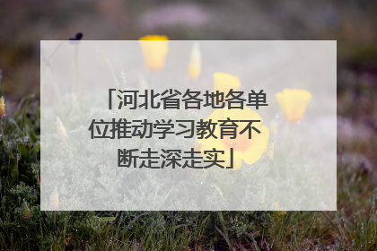 河北省各地各单位推动学习教育不断走深走实