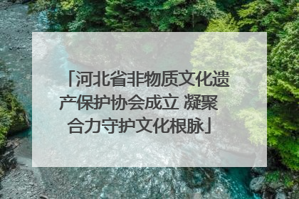 河北省非物质文化遗产保护协会成立 凝聚合力守护文化根脉