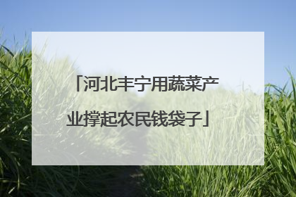 河北丰宁用蔬菜产业撑起农民钱袋子