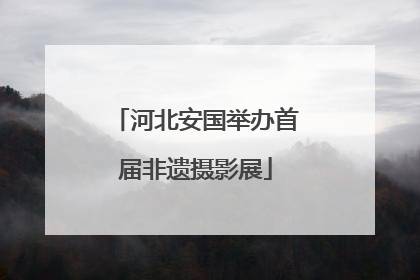 河北安国举办首届非遗摄影展