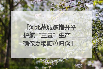 河北故城多措并举护航“三夏”生产 确保夏粮颗粒归仓