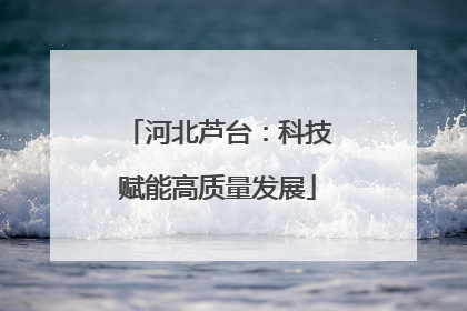 河北芦台：科技赋能高质量发展