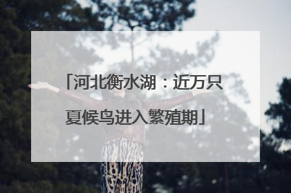 河北衡水湖：近万只夏候鸟进入繁殖期