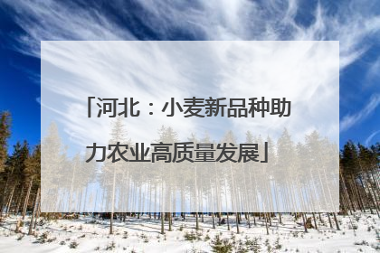 河北：小麦新品种助力农业高质量发展
