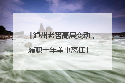 泸州老窖高层变动，履职十年董事离任