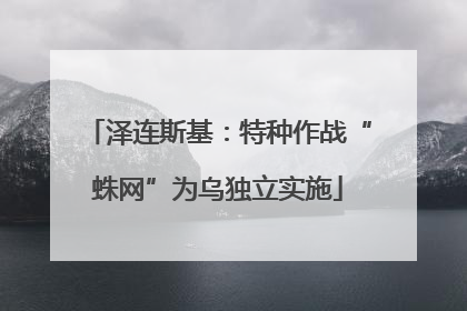 泽连斯基：特种作战“蛛网”为乌独立实施