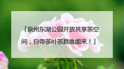 泉州东湖公园开放共享茶空间，自带茶叶茶具就能来！