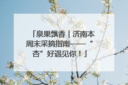 泉果飘香｜济南本周末采摘指南——“杏”好遇见你！