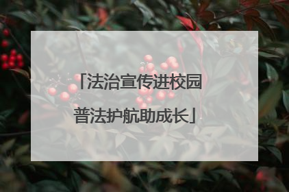 法治宣传进校园 普法护航助成长