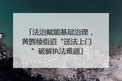 法治赋能基层治理，黄鹤楼街道“送法上门”破解执法难题