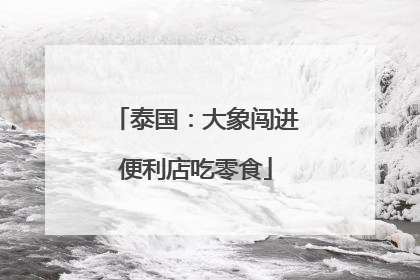 泰国：大象闯进便利店吃零食