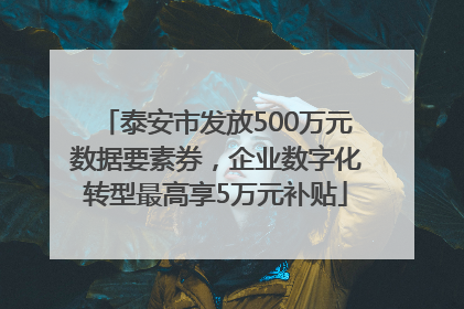 泰安市发放500万元数据要素券，企业数字化转型最高享5万元补贴