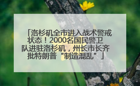 洛杉矶全市进入战术警戒状态！2000名国民警卫队进驻洛杉矶，州长市长齐批特朗普“制造混乱”