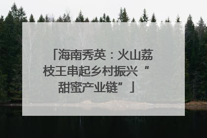 海南秀英：火山荔枝王串起乡村振兴“甜蜜产业链”
