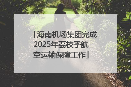 海南机场集团完成2025年荔枝季航空运输保障工作