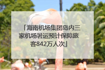 海南机场集团岛内三家机场暑运预计保障旅客842万人次