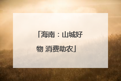 海南：山城好物 消费助农