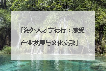 海外人才宁德行：感受产业发展与文化交融