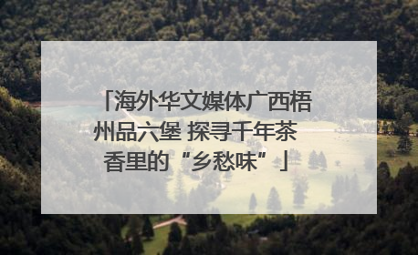海外华文媒体广西梧州品六堡 探寻千年茶香里的“乡愁味”