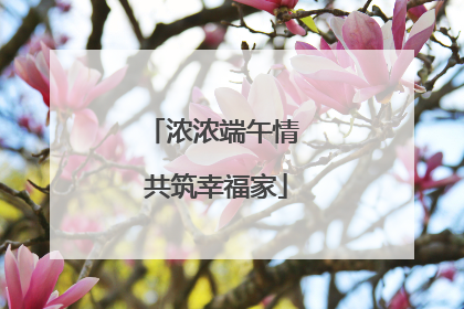 浓浓端午情 共筑幸福家