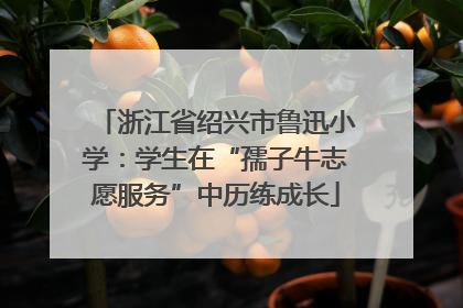 浙江省绍兴市鲁迅小学：学生在“孺子牛志愿服务”中历练成长